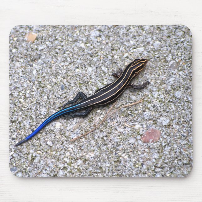 Blått Tailed Skink mousepad Musmatta (Framsidan)
