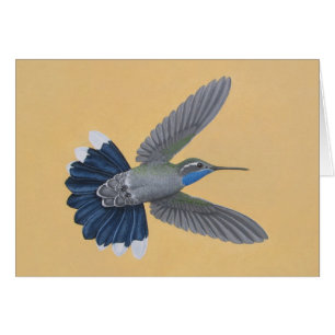 Blått-throated Hummingbird Hälsningskort