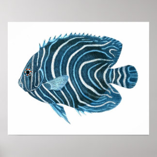 Blått tropiskt fiskutskrift nr 1.1 poster