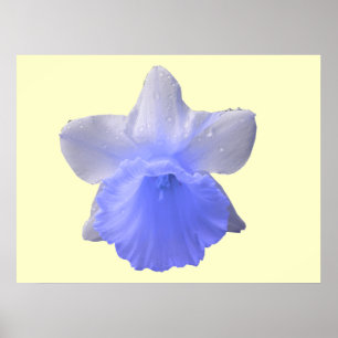 Blått utskrift av diff. poster