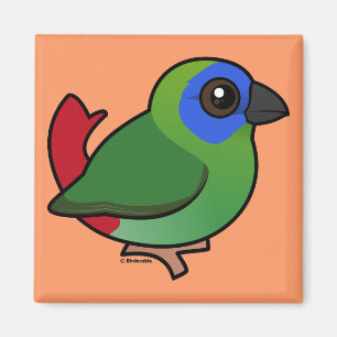 Blått-vände mot Parrotfinch Magnet