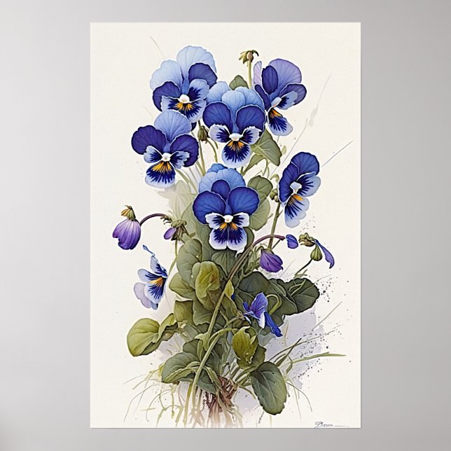 Blått violas blombild Skriv ut Poster (Framsidan)