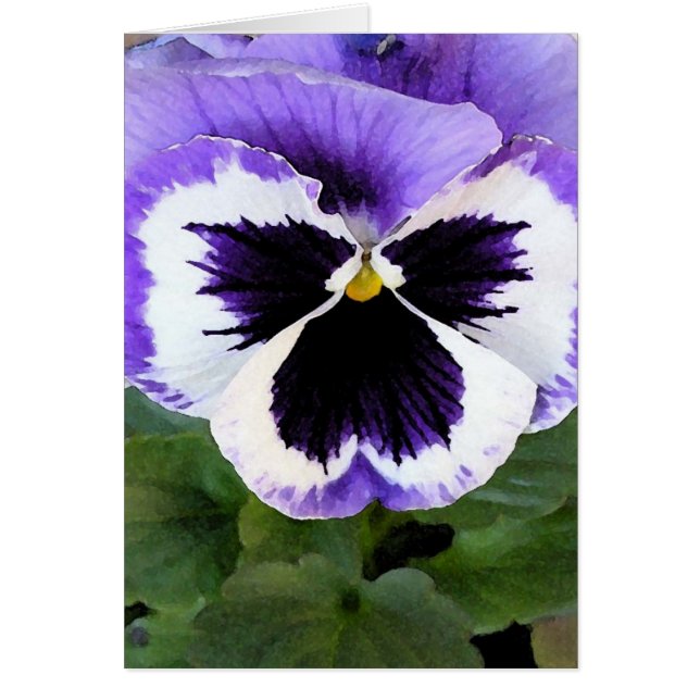 Blått, vitt och Lila Pansy Hälsningskort (Framsidan)