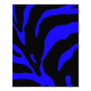 Blått Zebra Rand-djurtryck Fototryck