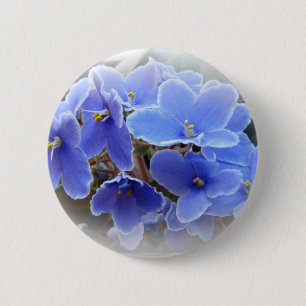 BlåttafrikanViolets Knapp