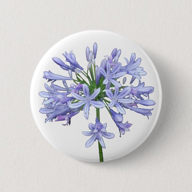 BlåttAgapanthus Knapp (Framsida)
