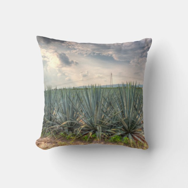 BlåttAgave Kudde (Framsida)