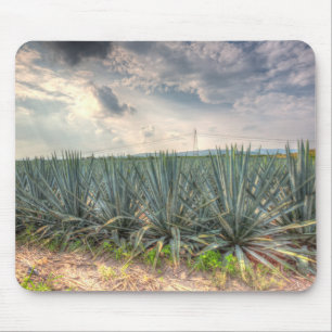 BlåttAgave Musmatta