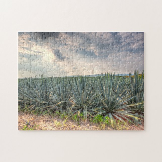 BlåttAgave Pussel (Horisontell)
