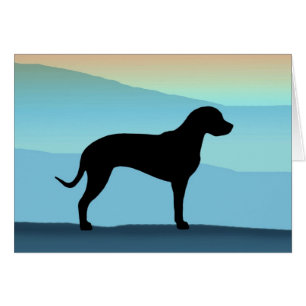 Blåttberg Catahoula Hälsningskort