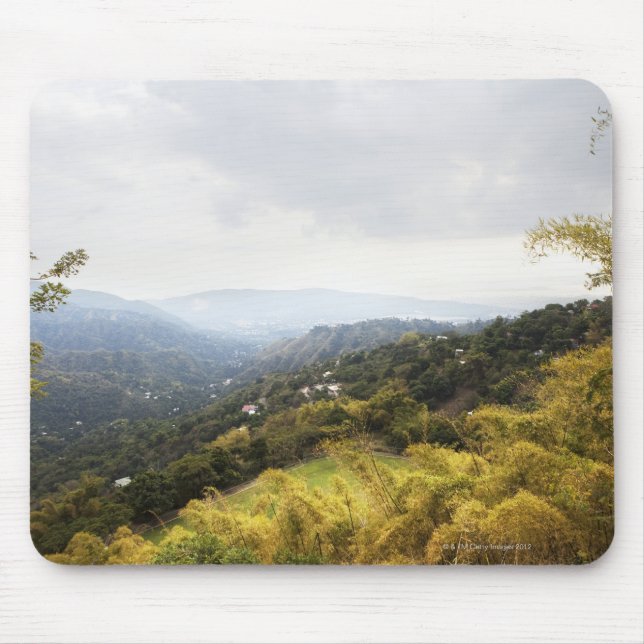 Blåttberg över tittar Kingston Musmatta (Framsidan)