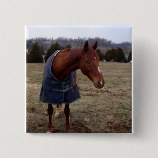 Blåttblåtthavet kvadrerar knäppas knapp