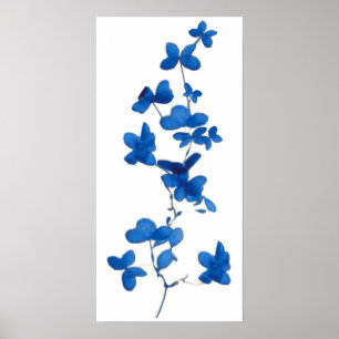 Blåttblommatryck Poster