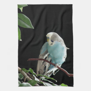 BlåttBudgie kökshandduk