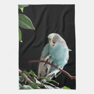 BlåttBudgie kökshandduk