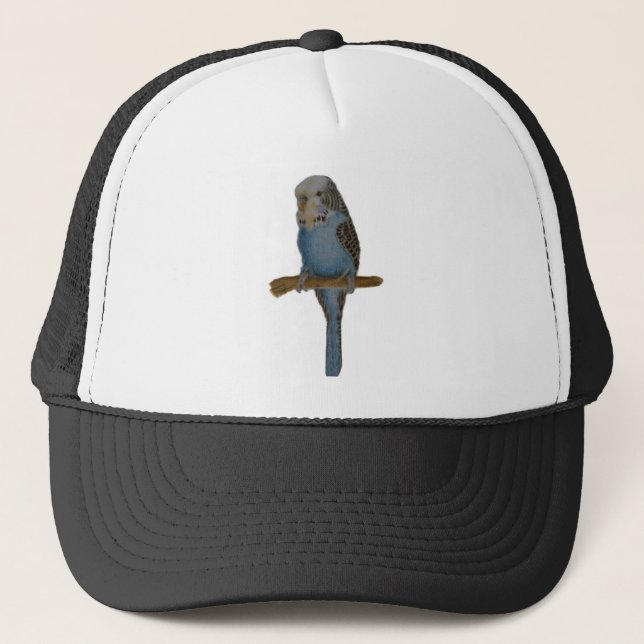 BlåttBudgie konst Keps (Framsida)