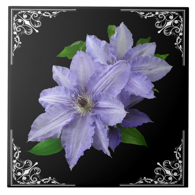 BLÅTTCLEMATIS I VICTORIANRAM KAKELPLATTA (Framsidan)