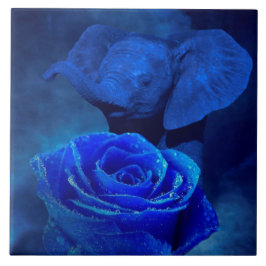 Blåttelefanten och steg kakelplatta