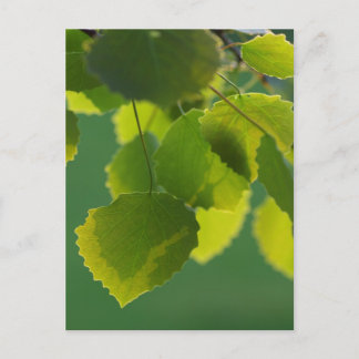Blätter Hälsa Vykort