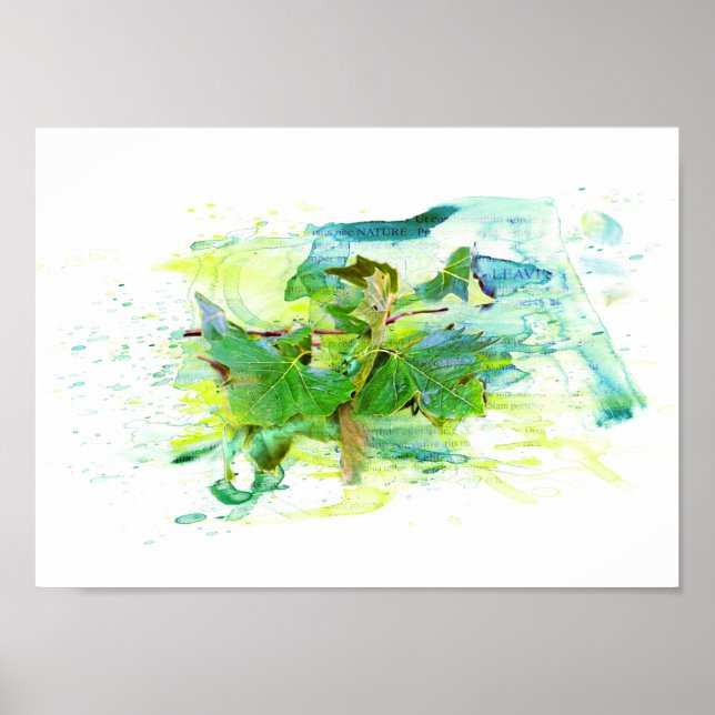 Blätter - Watercolor / Aquarell, Illustration Poster (Framsidan)