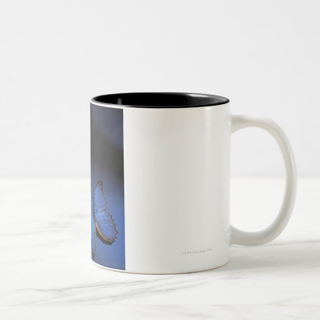 Blåttfjäril Två-Tonad Mugg (Höger)