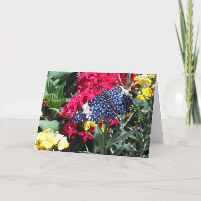 Blåttfjärilsbild i blommahälsningkort kort (Framsida)