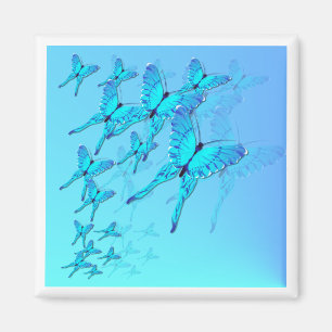 Blåttfjärilsmagnet Magnet