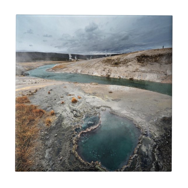 Blåtthål Kakelplatta (Framsidan)