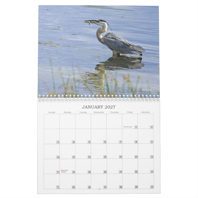 BlåttHeronserie Kalender (Jan 2027)