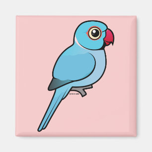 Blåttindier Ringneck Magnet