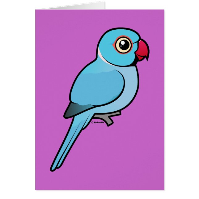 Blåttindier Ringneck OBS Kort (Framsidan)