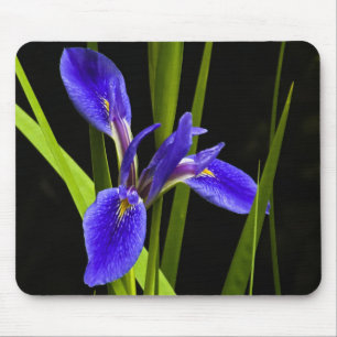 BlåttIris Mousepad Musmatta
