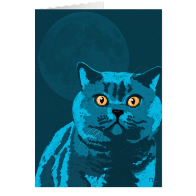 Blåttkatt Hälsningskort (Framsidan)