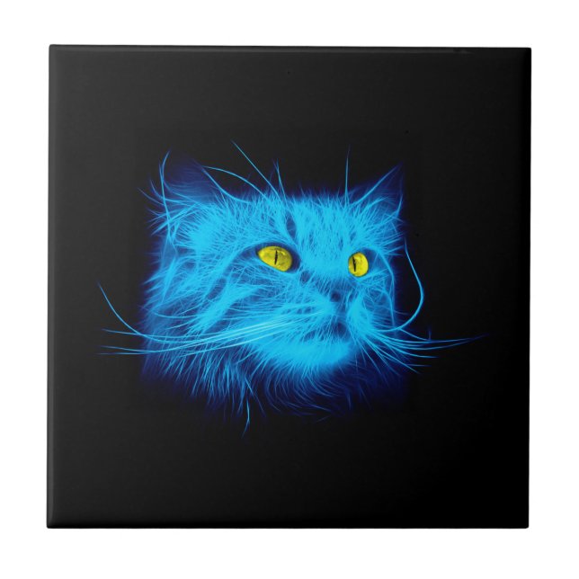 Blåttkattansikte Kakelplatta (Framsidan)