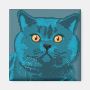 Blåttkattungemagnet Magnet