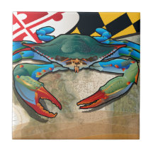 Blåttkrabba av Maryland