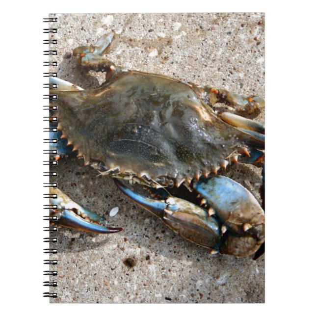 Blåttkrabbakrypning Anteckningsbok (Framsidan)