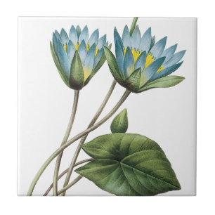 BLÅTTLOTUSBLOMMA BLOMMAR TRIVET KAKELPLATTA