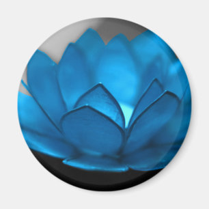 Blåttlotusblommablomma Magnet