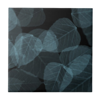 Blåttlöv X-Ray.png Kakelplatta