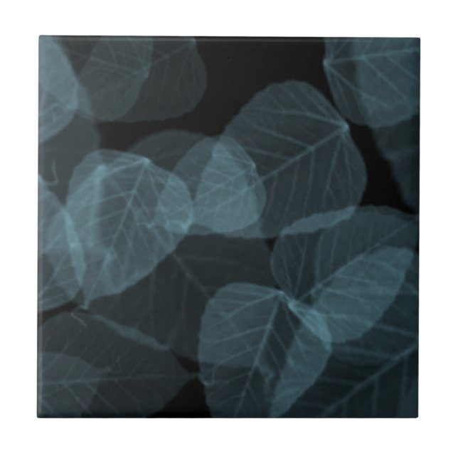 Blåttlöv X-Ray.png Kakelplatta (Framsidan)