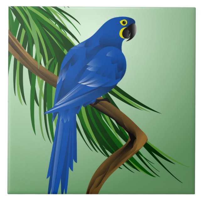 BlåttMacaw Kakelplatta (Framsidan)