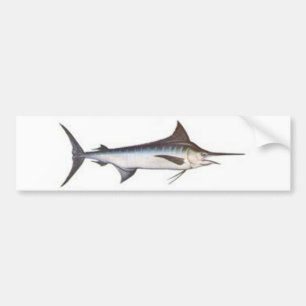 BlåttMarlin Bildekal