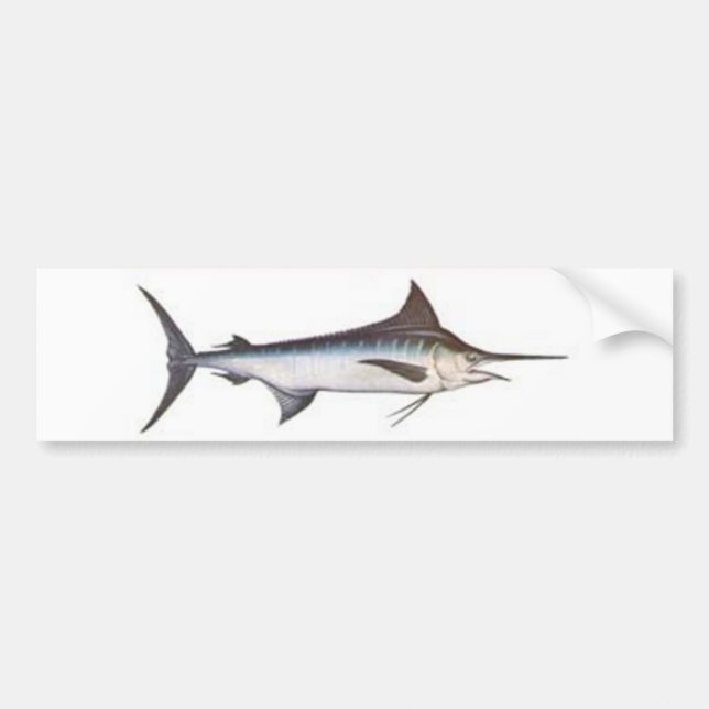 BlåttMarlin Bildekal (Framsidan)