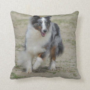 BlåttMerle australian shepherd Kudde