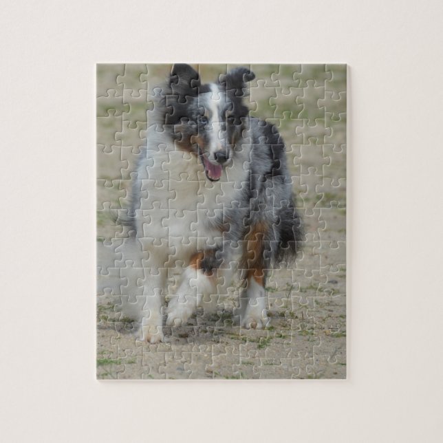 BlåttMerle australian shepherd Pussel (Vertikal)