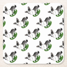 Blåttmerle, CorgiCardigan.