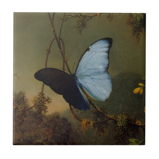 BlåttMorpho fjäril av Martin Johnson Heade Kakelplatta (Framsidan)