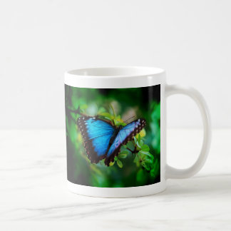 BlåttMorpho fjäril Kaffemugg