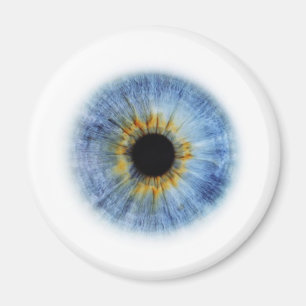 Blåttögonglob Magnet